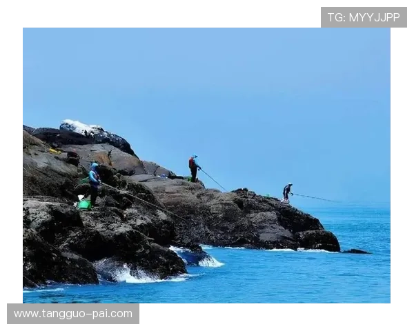 乘风破浪直播海钓：深海巨物与惊喜的邂逅